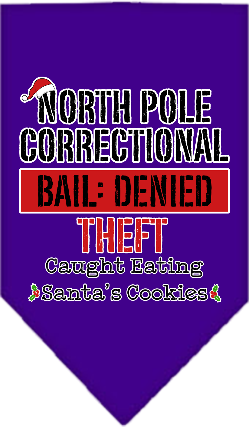 North Pole Correctional Screen Print Bandana Purple Size Large